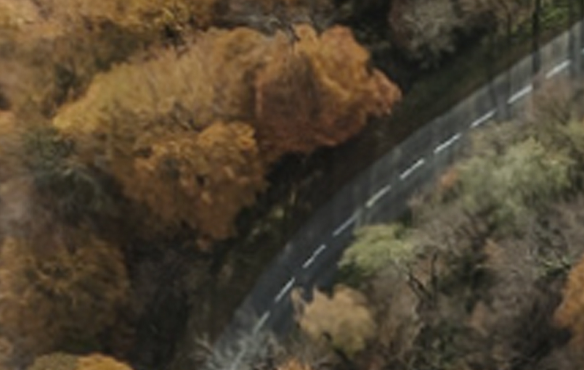 纯粹